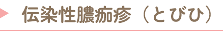 伝染性膿痂疹（とびひ）